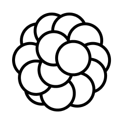 Bumpgen logo
