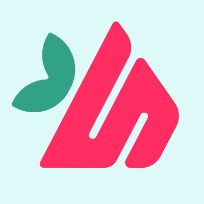 0xLuigi logo