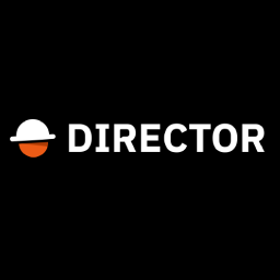 Director (VideoDB)